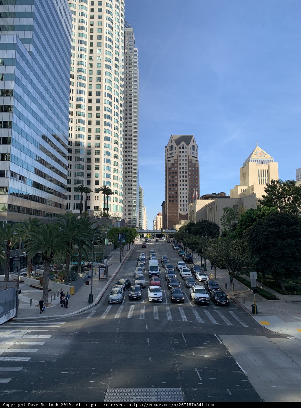The Urban Jungle