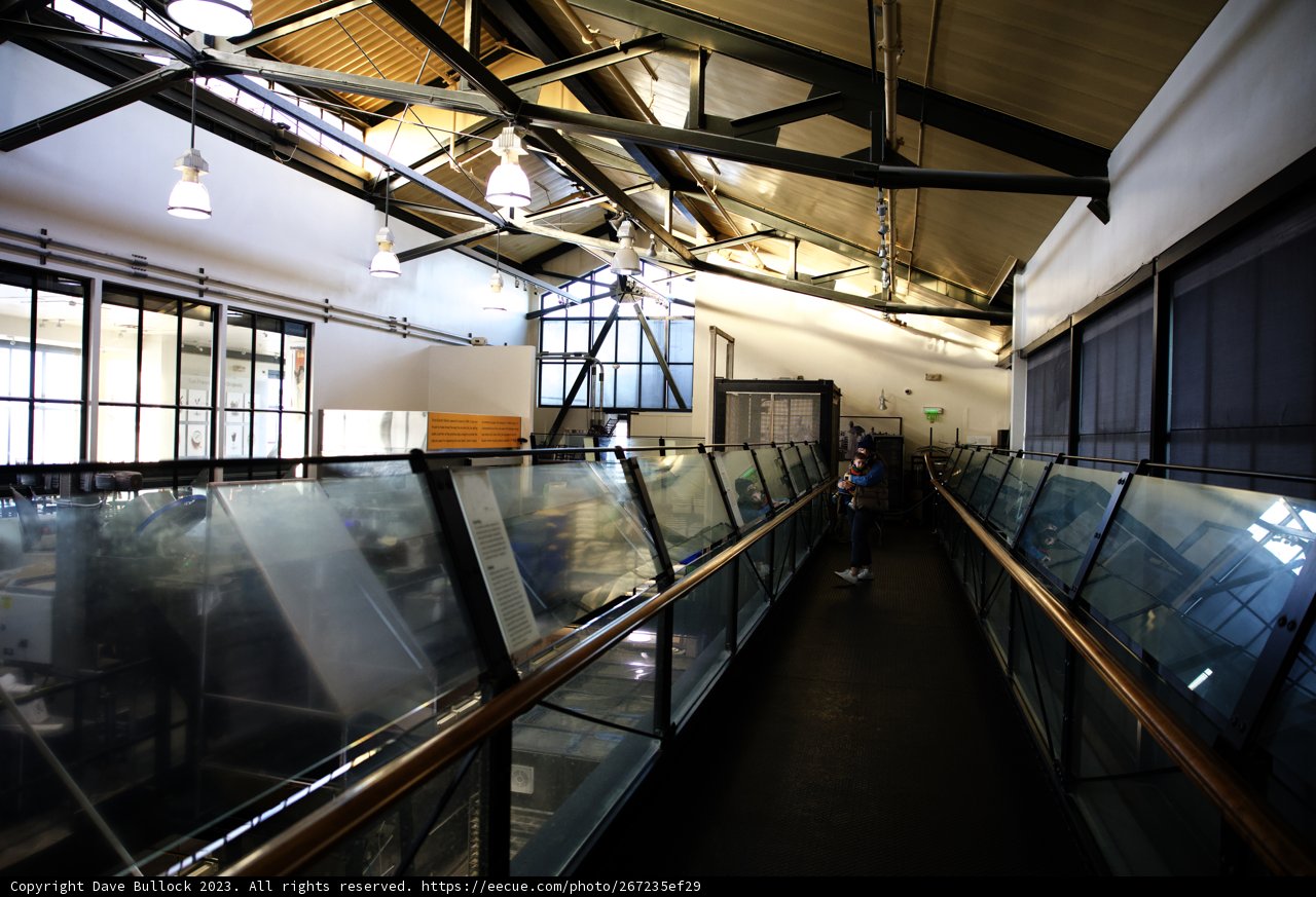Strolling Through Glass Walkway