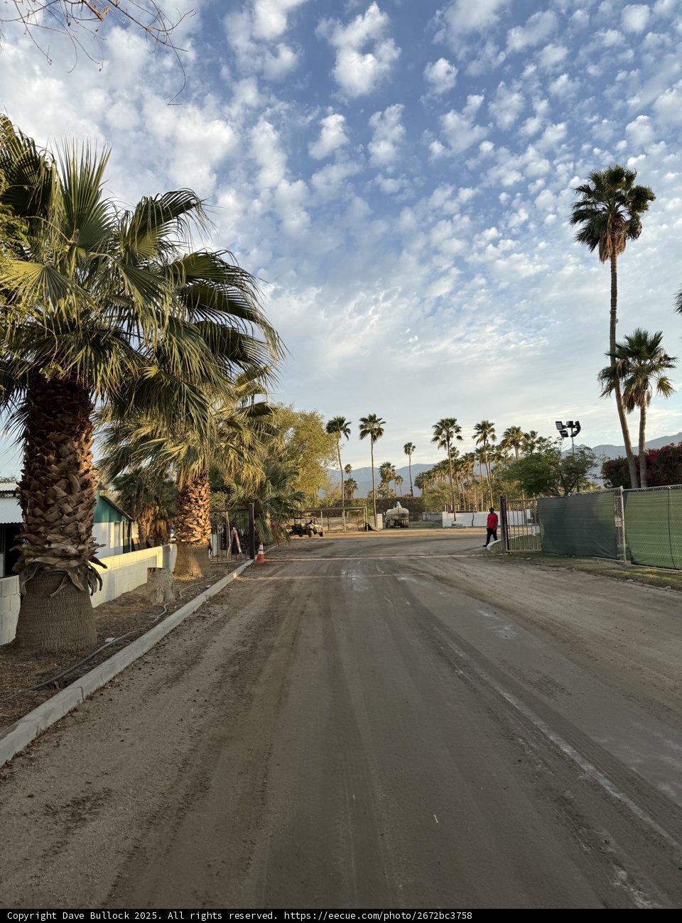Desert Oasis Pathway