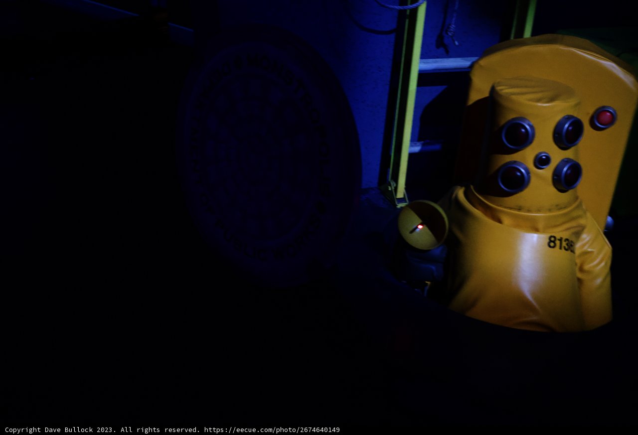A Mysterious Encounter at Disneyland