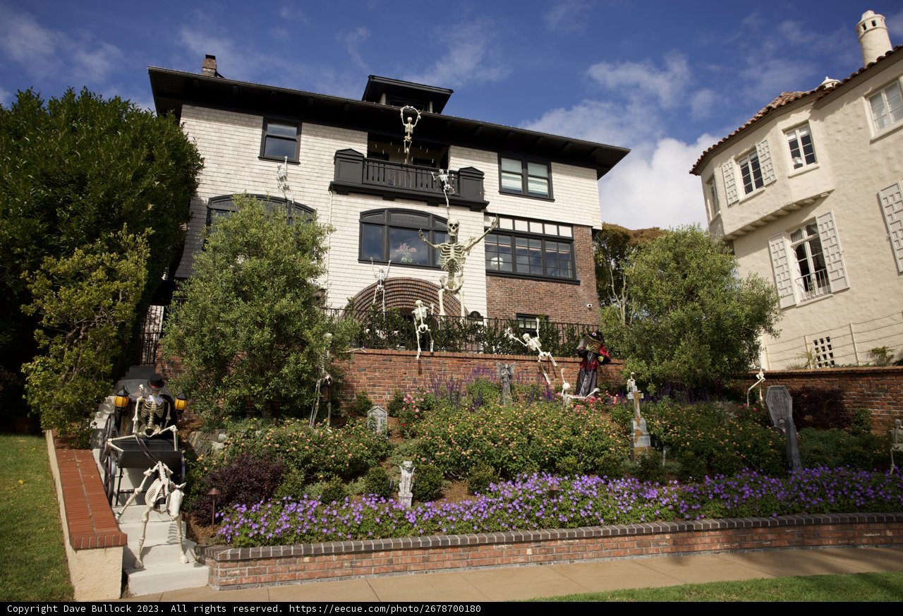Metropolitan Gem: A Sneak Peek into a Grand Oasis