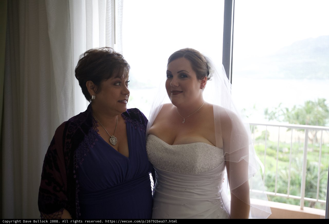 The Bride and Her Bridesmaid in Hawaii