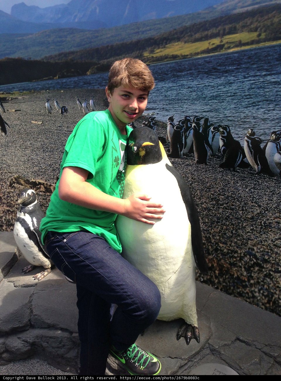Boy's Best Feathered Friend