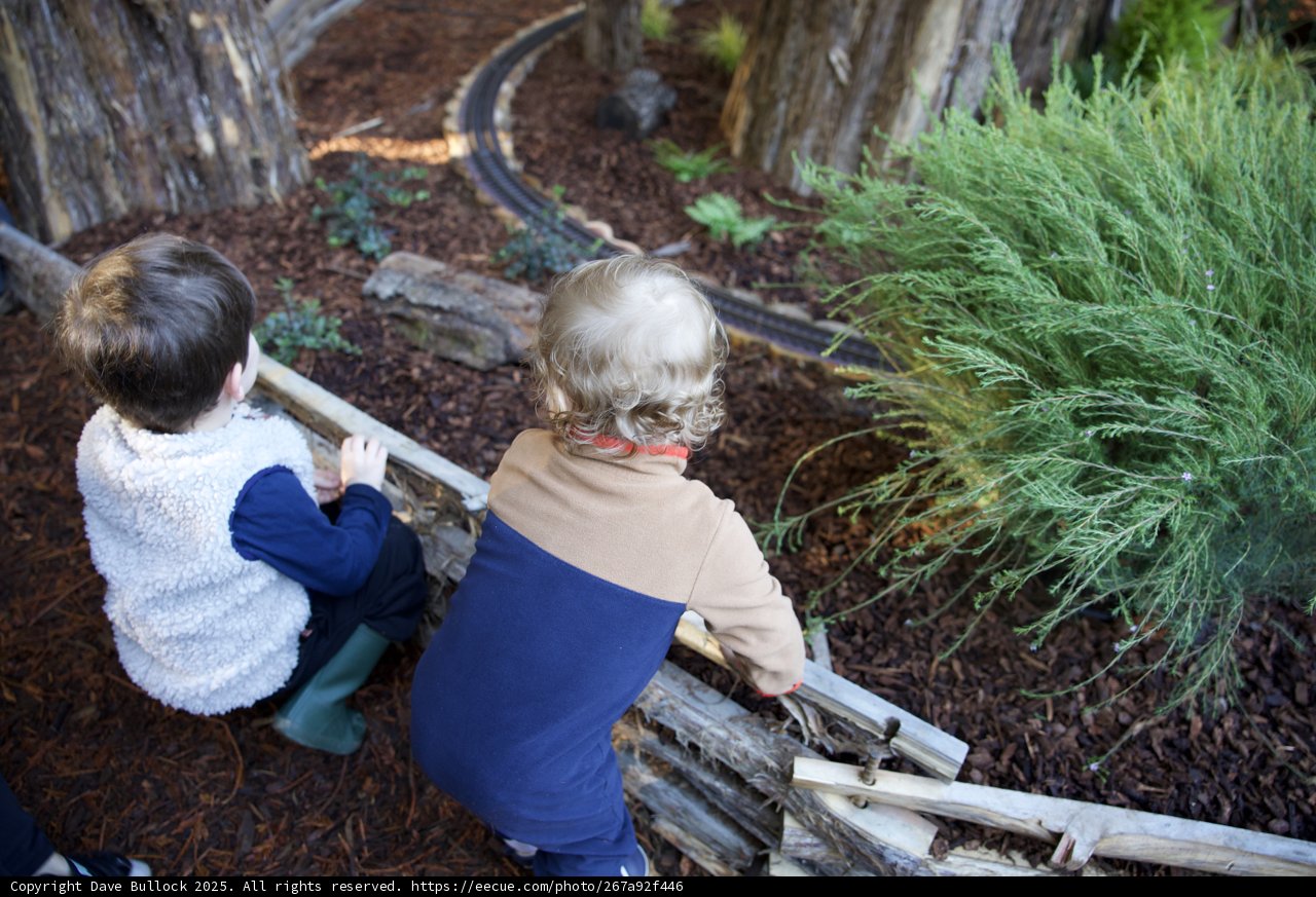 Exploring the Woodland Wonder