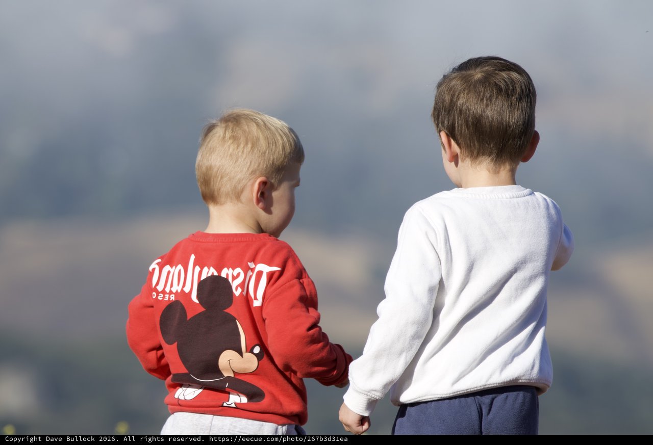 Two Young Boys Gazing Toward Mount Diablo Horizon
