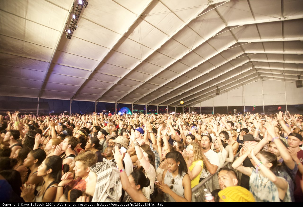 Festival Bliss