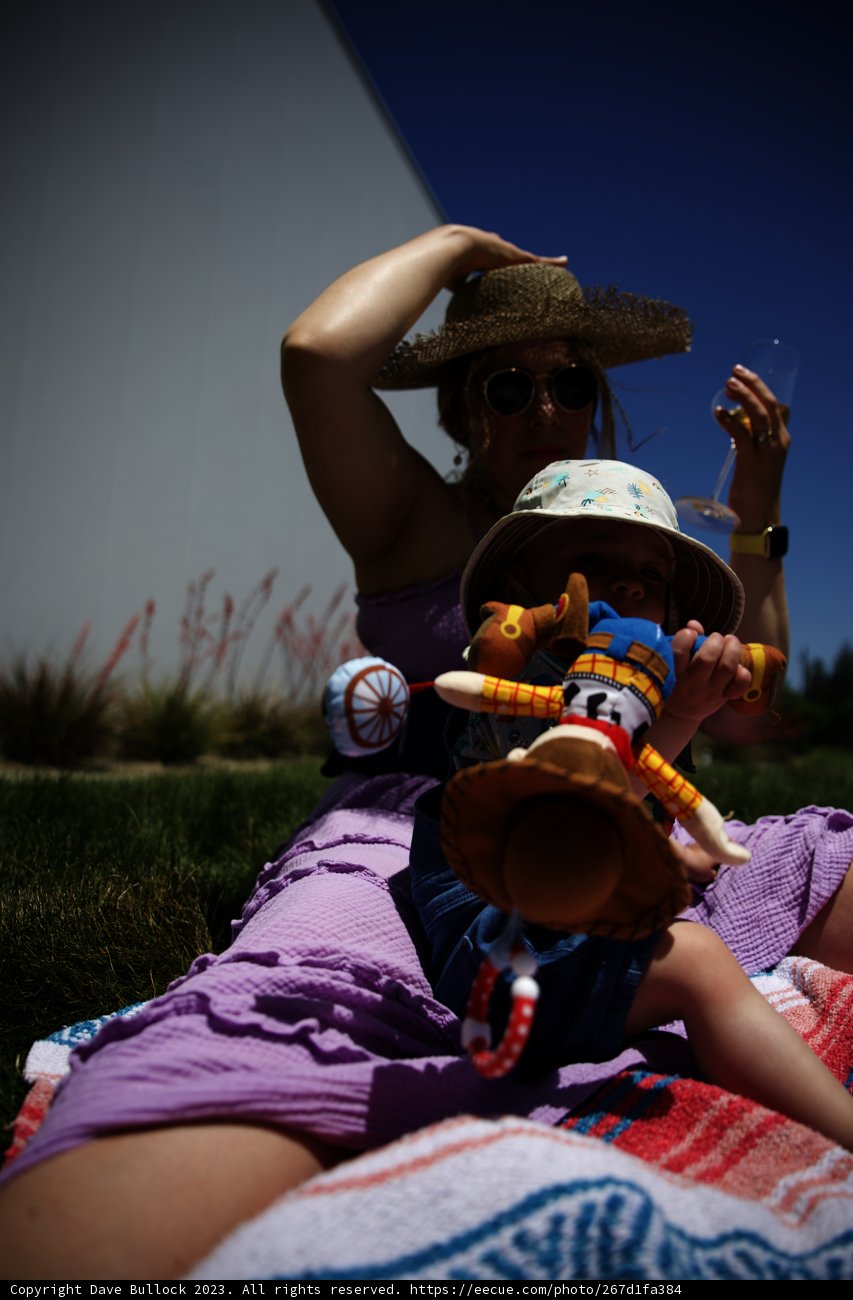 Summer Picnic Bliss