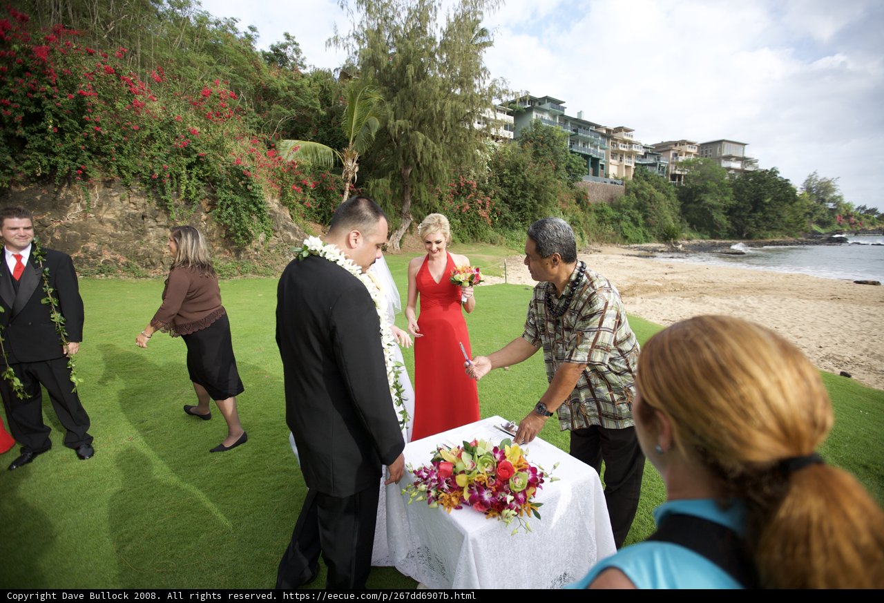 Stunning Red Dresses at Hawaii Wedding