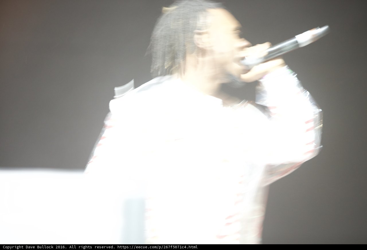 The Melodic Dreadlocks