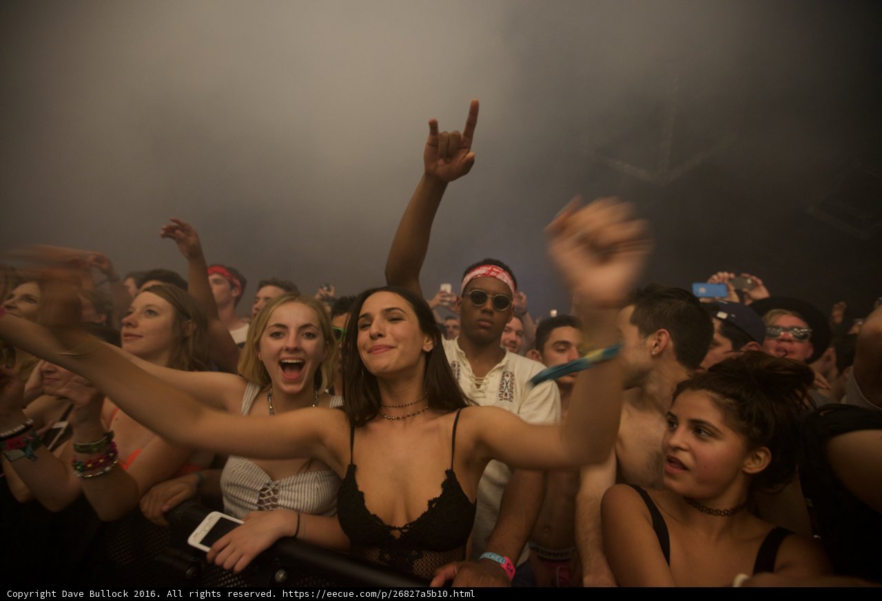 Energized Crowd at Coachella