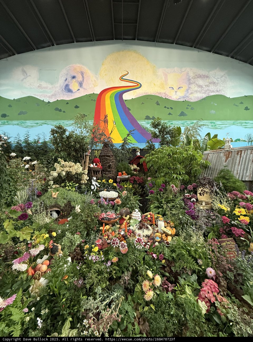 Rainbow Path to Nature's Palette