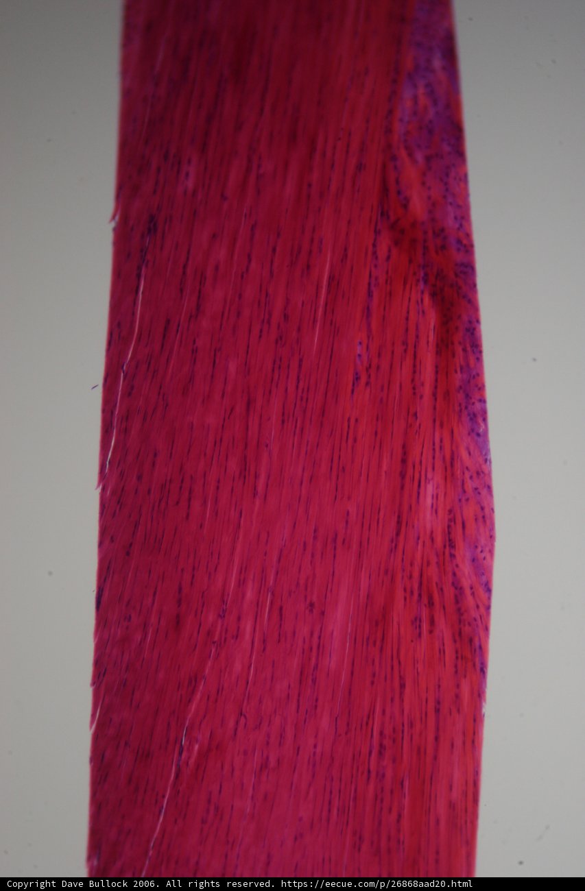 Red Velvet Texture