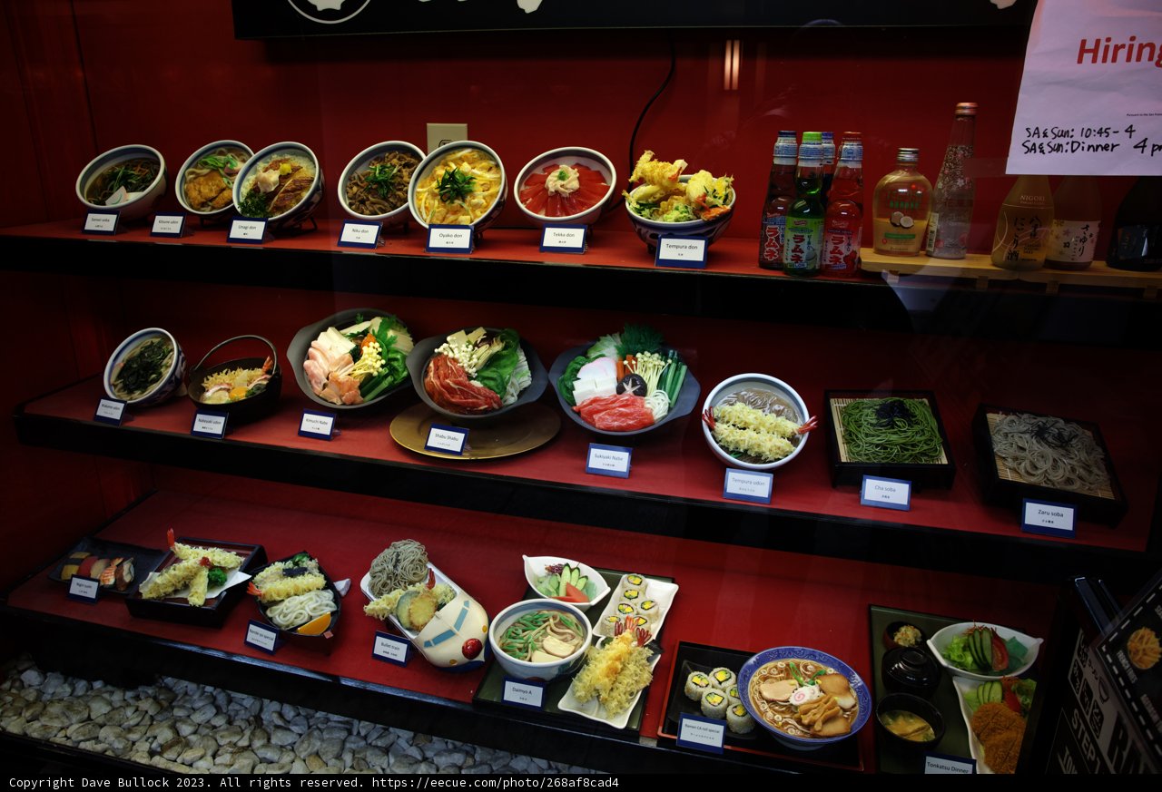 A Culinary Adventure at Japan Center Malls