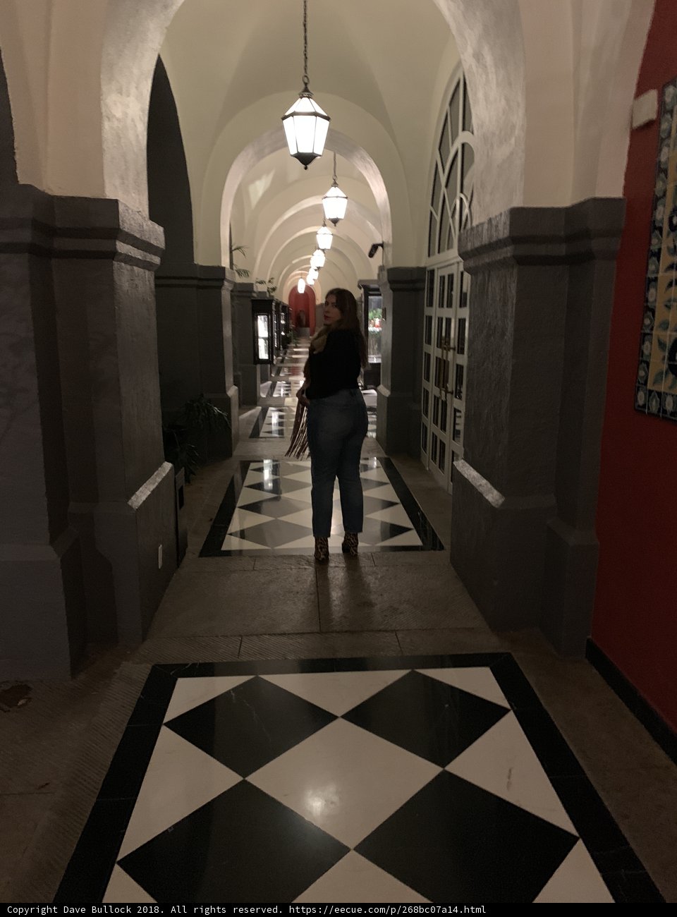 Walking Path in Checkered Corridor