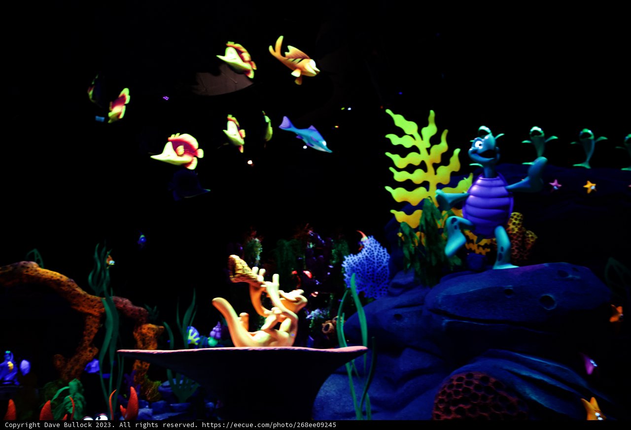 Magical Underwater Adventure at Disneyland