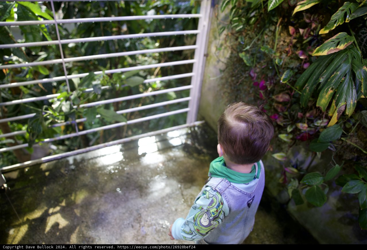 Inquisitive Soul in Nature's Classroom