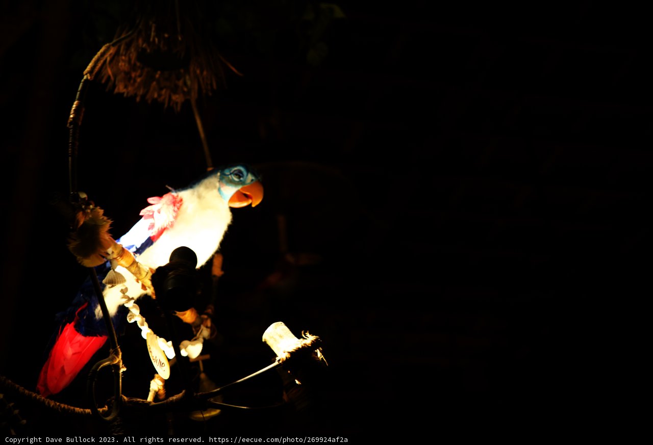Meet the Enchanting Macaw at Disneyland