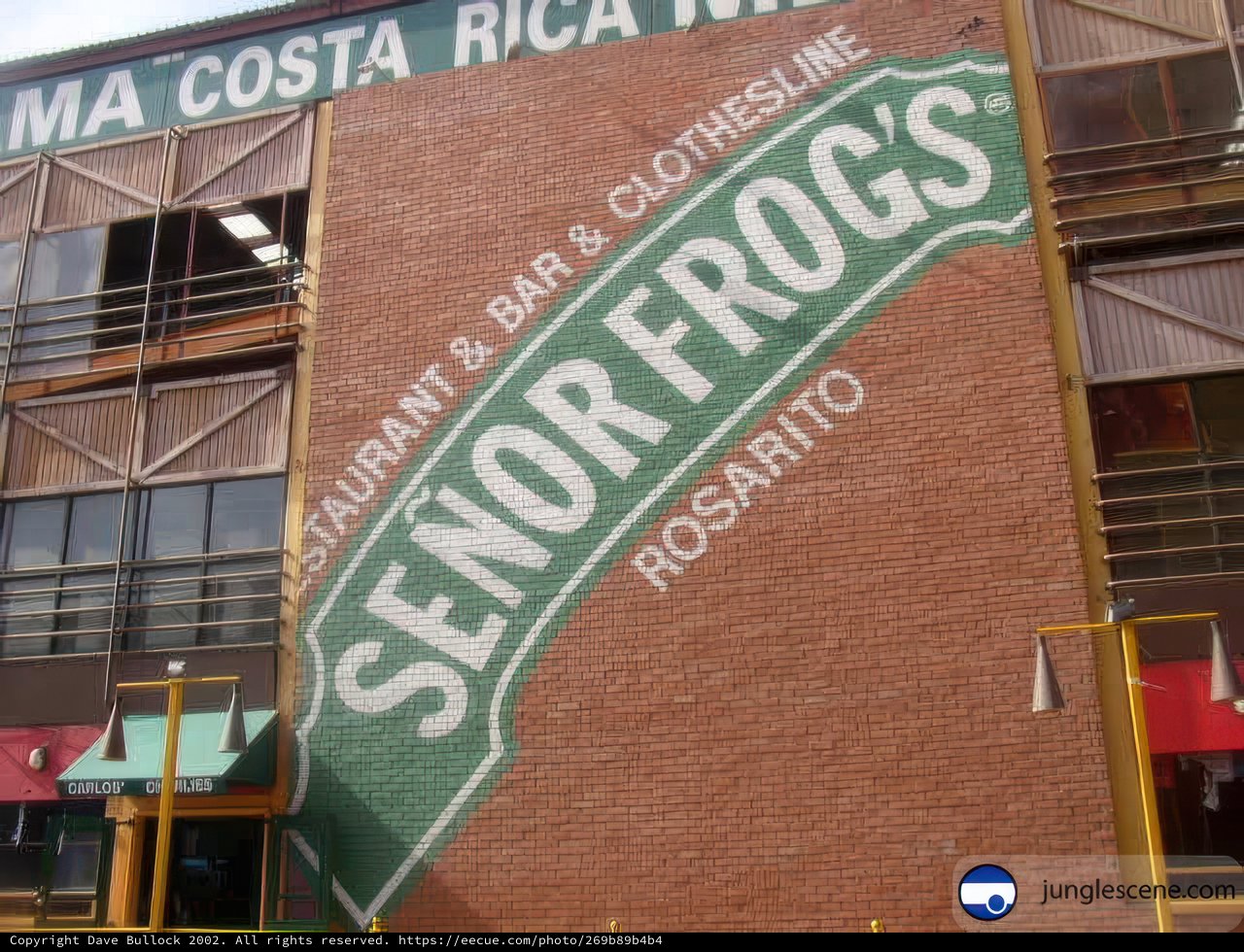 Senior Frogs Building Sign in Ensenada