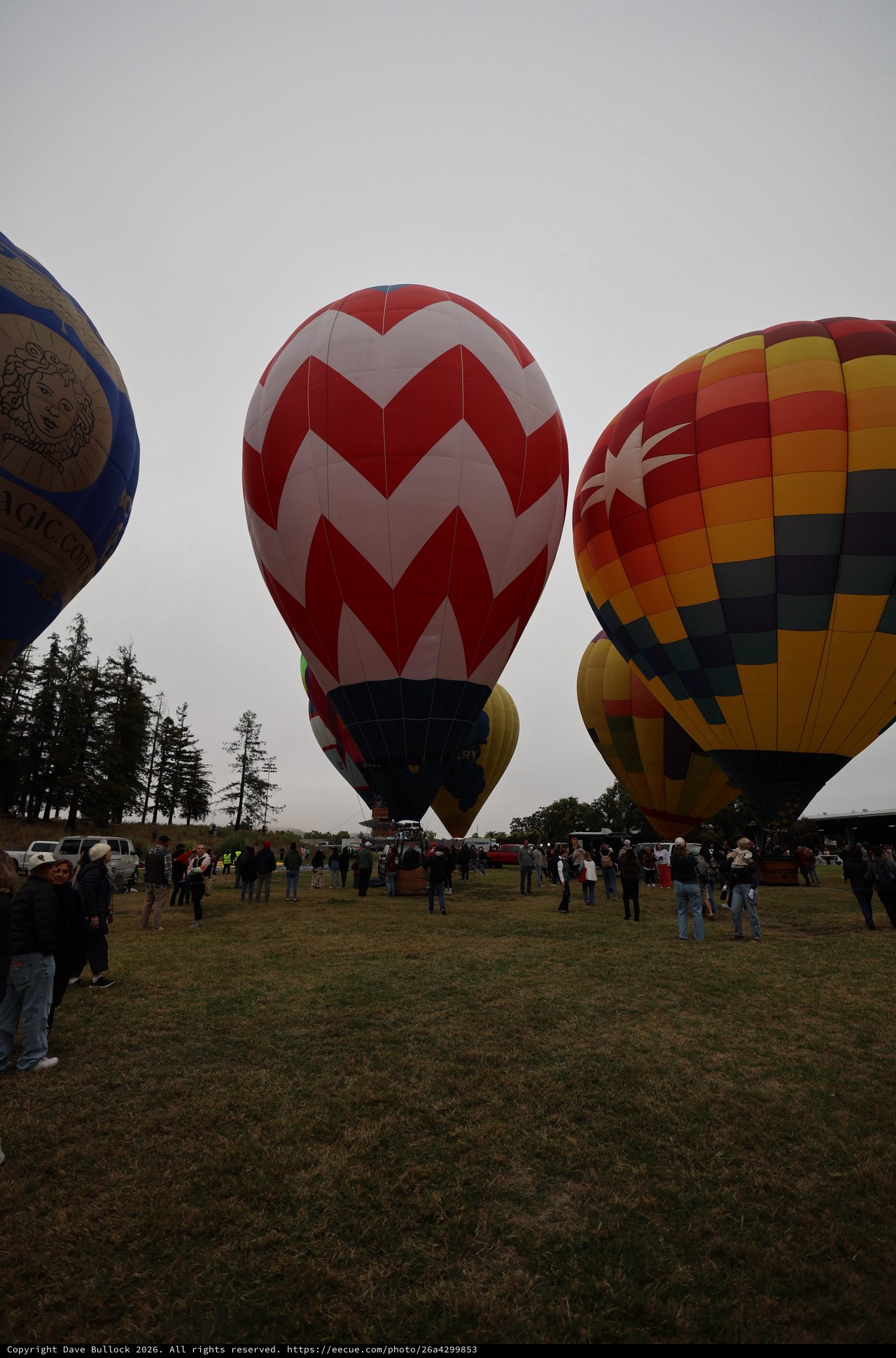 Colorful Hot Air Balloons Ready for Liftoff at Festival