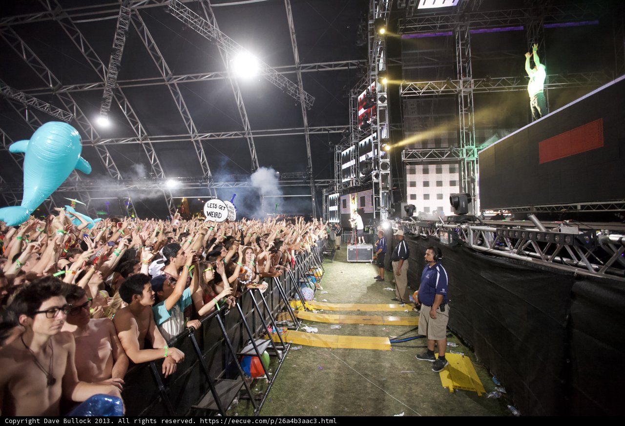 Dolphin and the Dancing Crowd