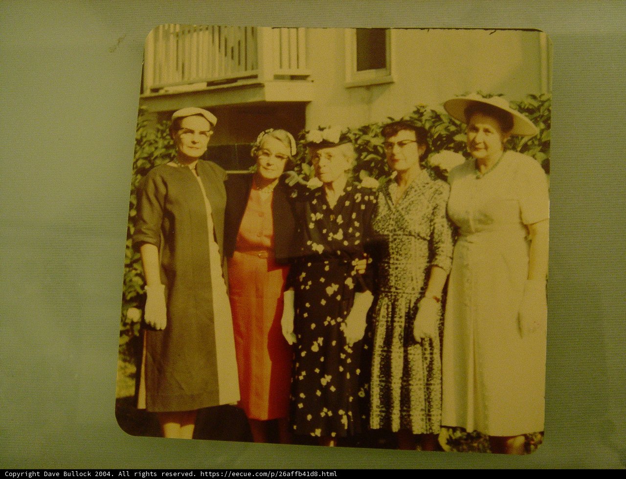 The Wedding Party