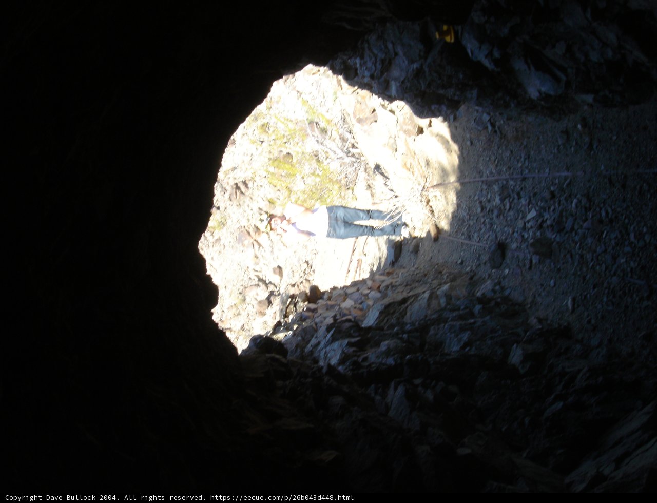Into the Abyss