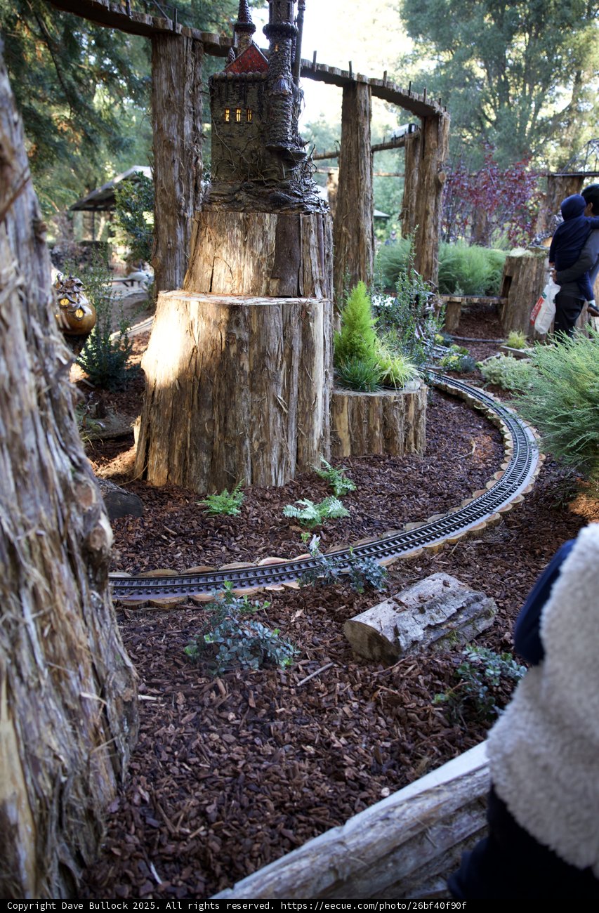 Enchanted Miniature Realm