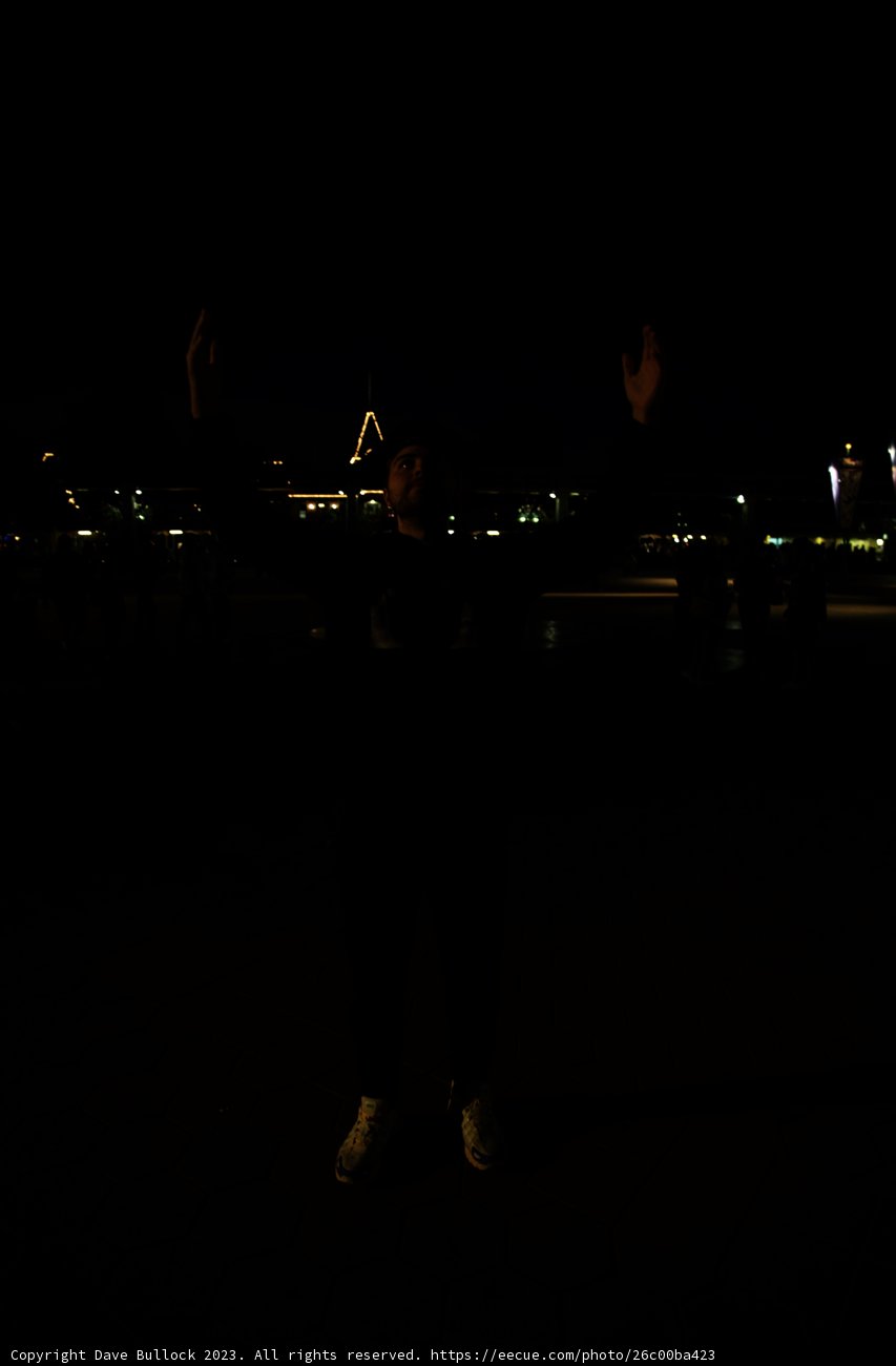 Starlit Stroll in Disneyland
