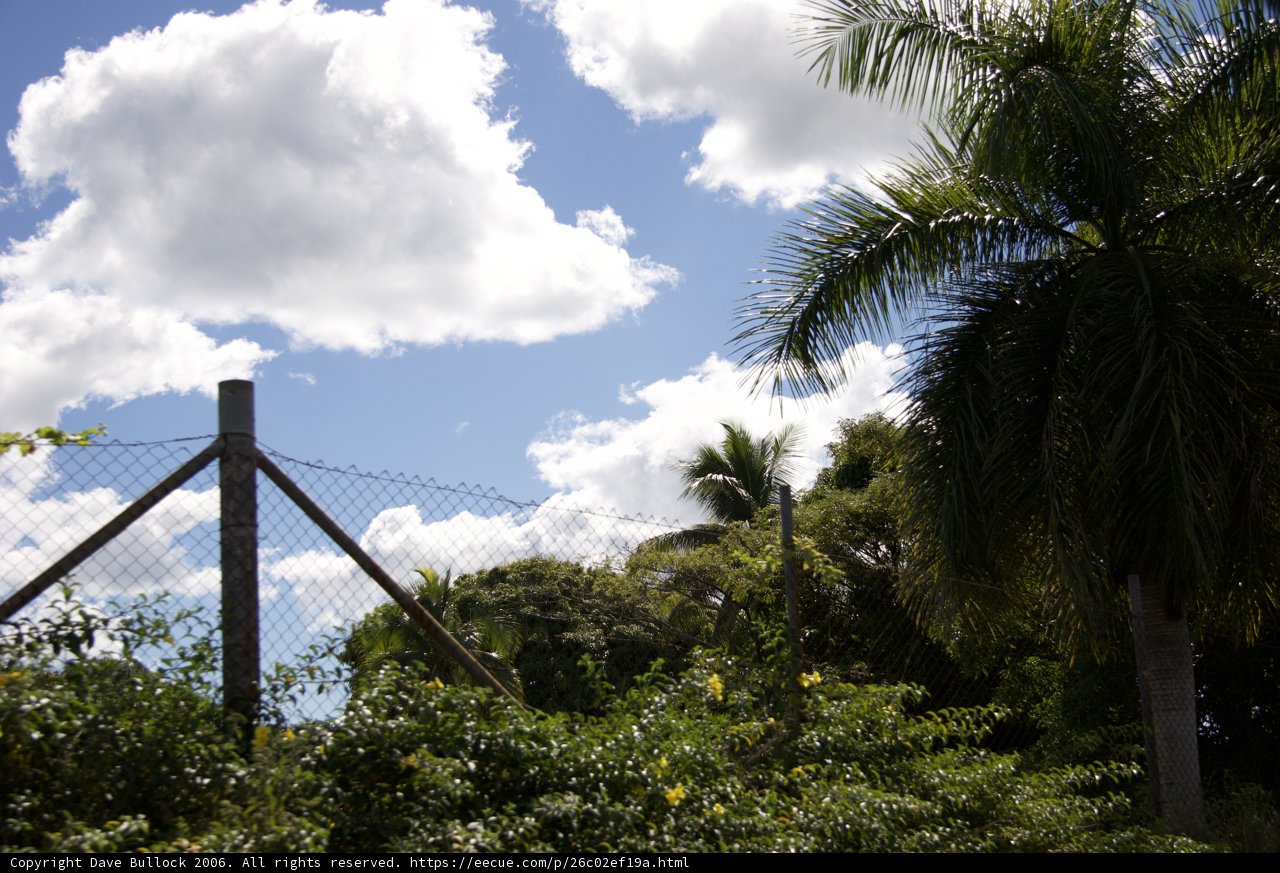 Tropical Paradise Fence