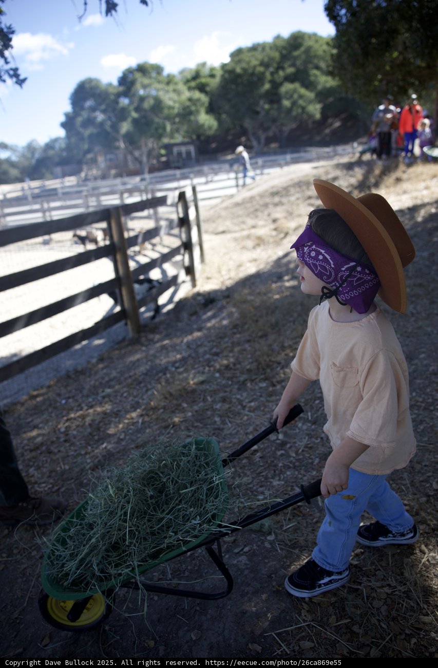 Little Rancher at Work