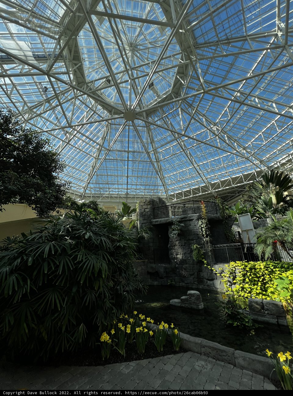Oasis under the Glass Dome