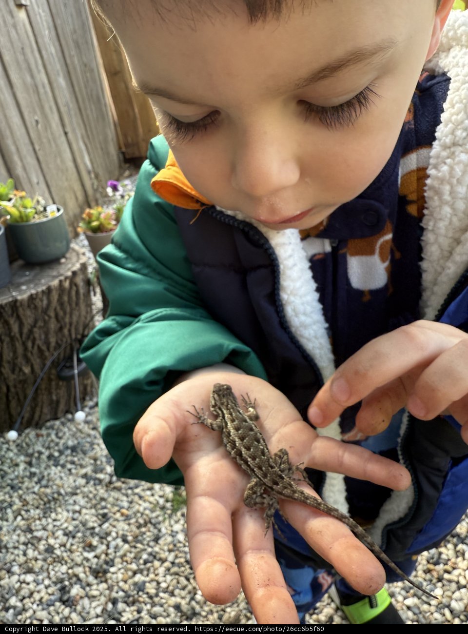 Curious Discoveries