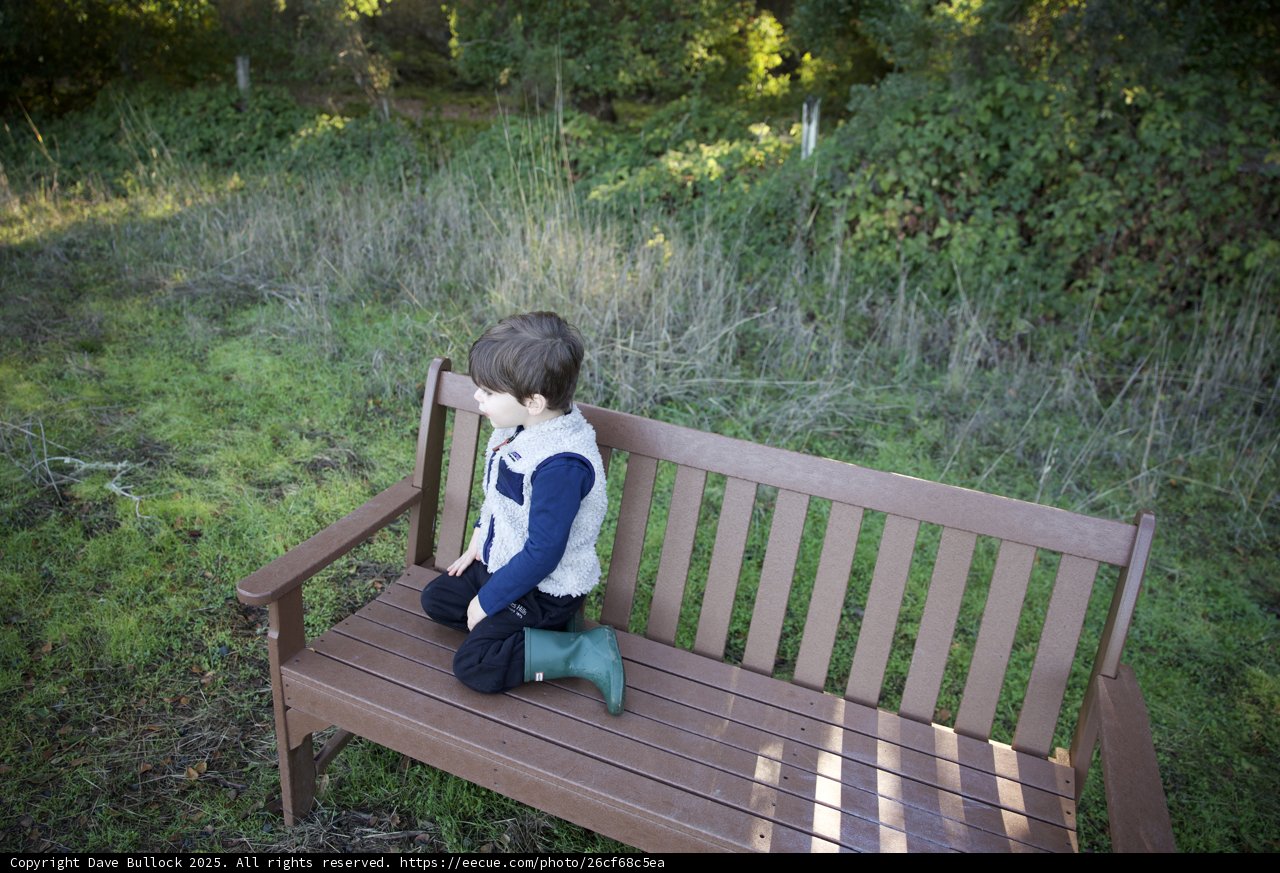 Pondering Moments in Nature