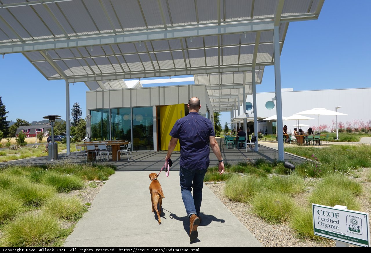 Walking the Dog Under a Covered Pavilion