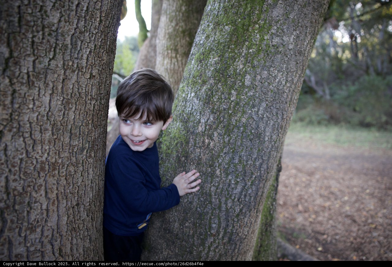 Hide and Seek Delight