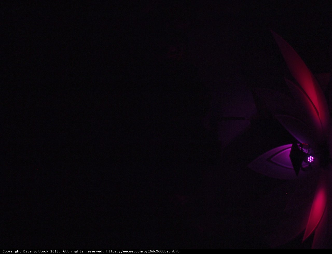 Purple Bloom in Black Abyss
