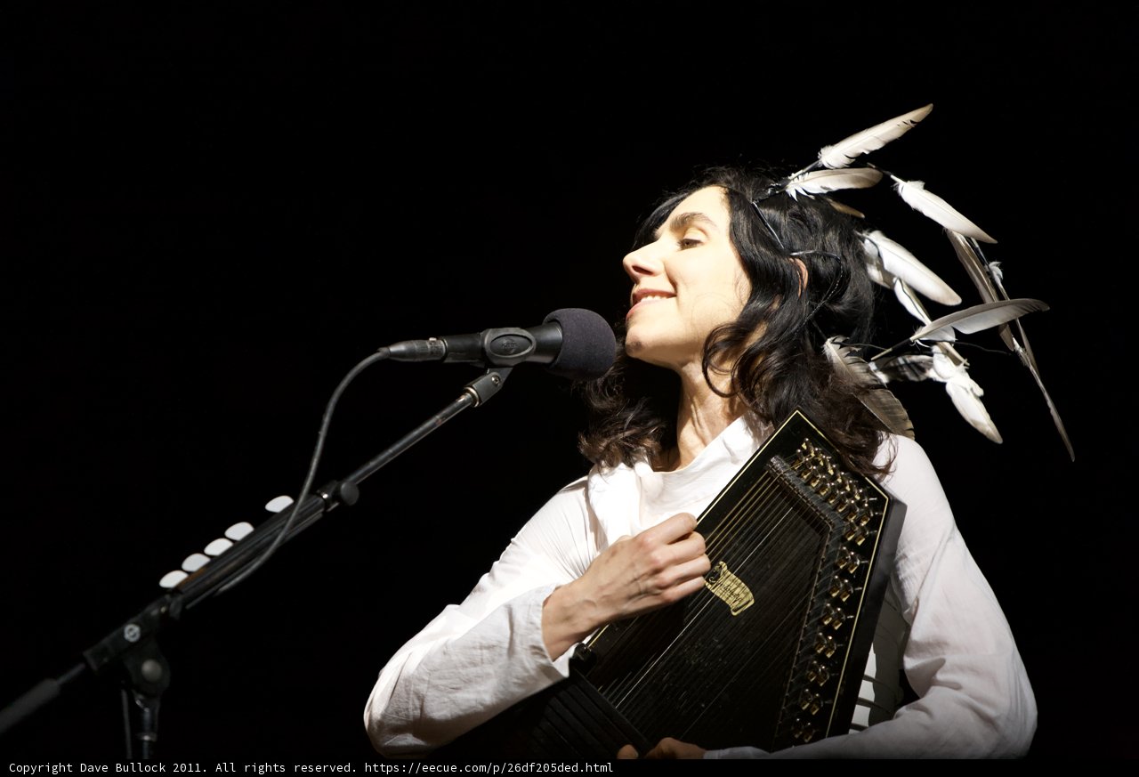 PJ Harvey Rocks Coachella with Accordion in Hand