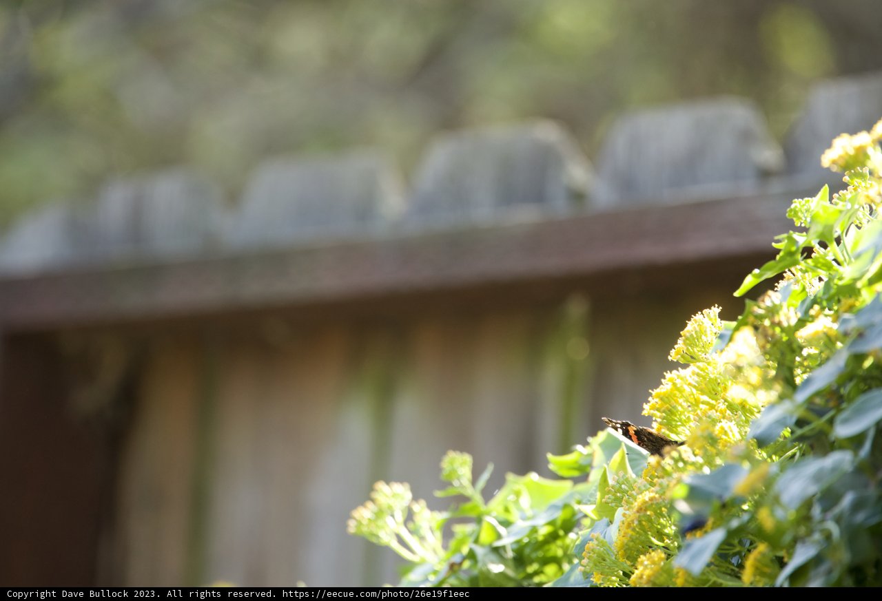 The Nature-Engraved Fence at 100%