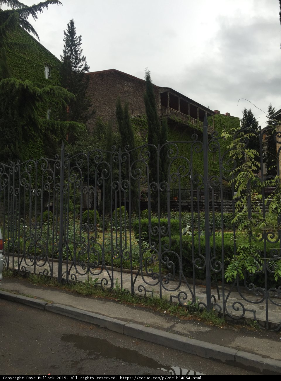 Overgrown Tbilisi Property