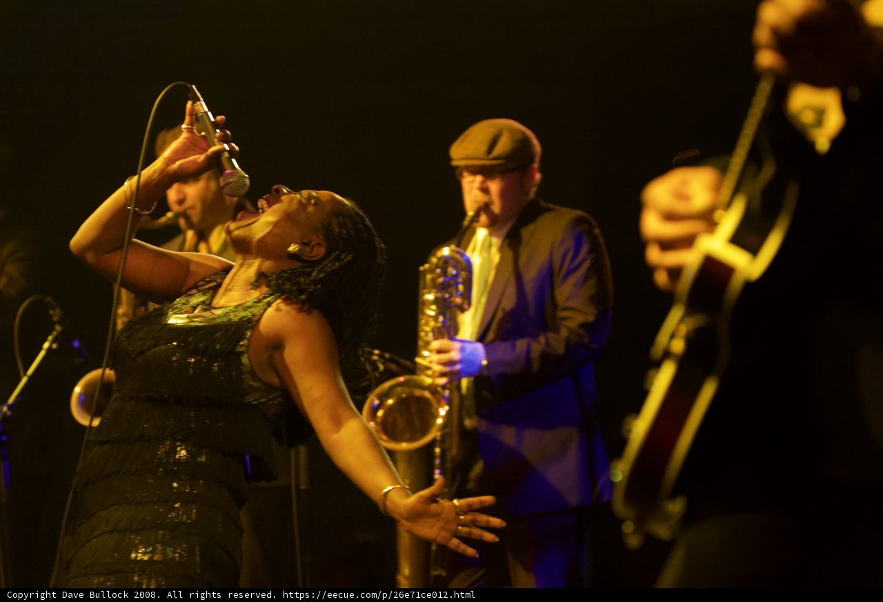 Brass Band at 2008 Coachella