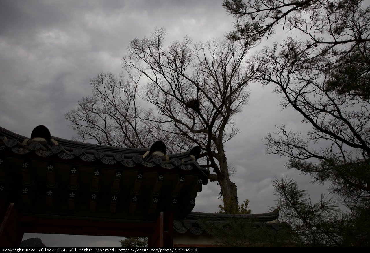 Silhouette Serenity: An Evening in Korea