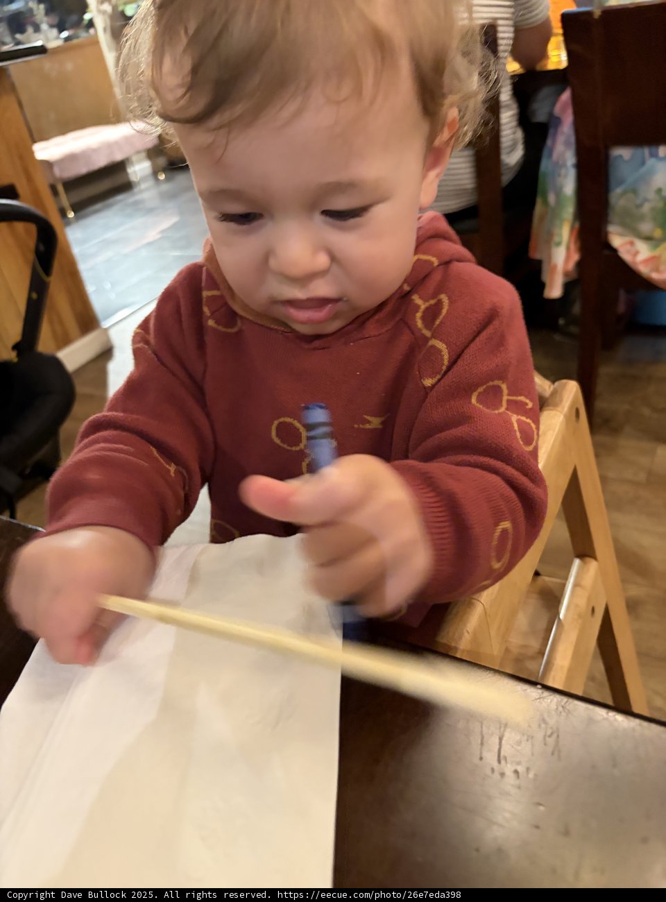 Curious Hands at the Table