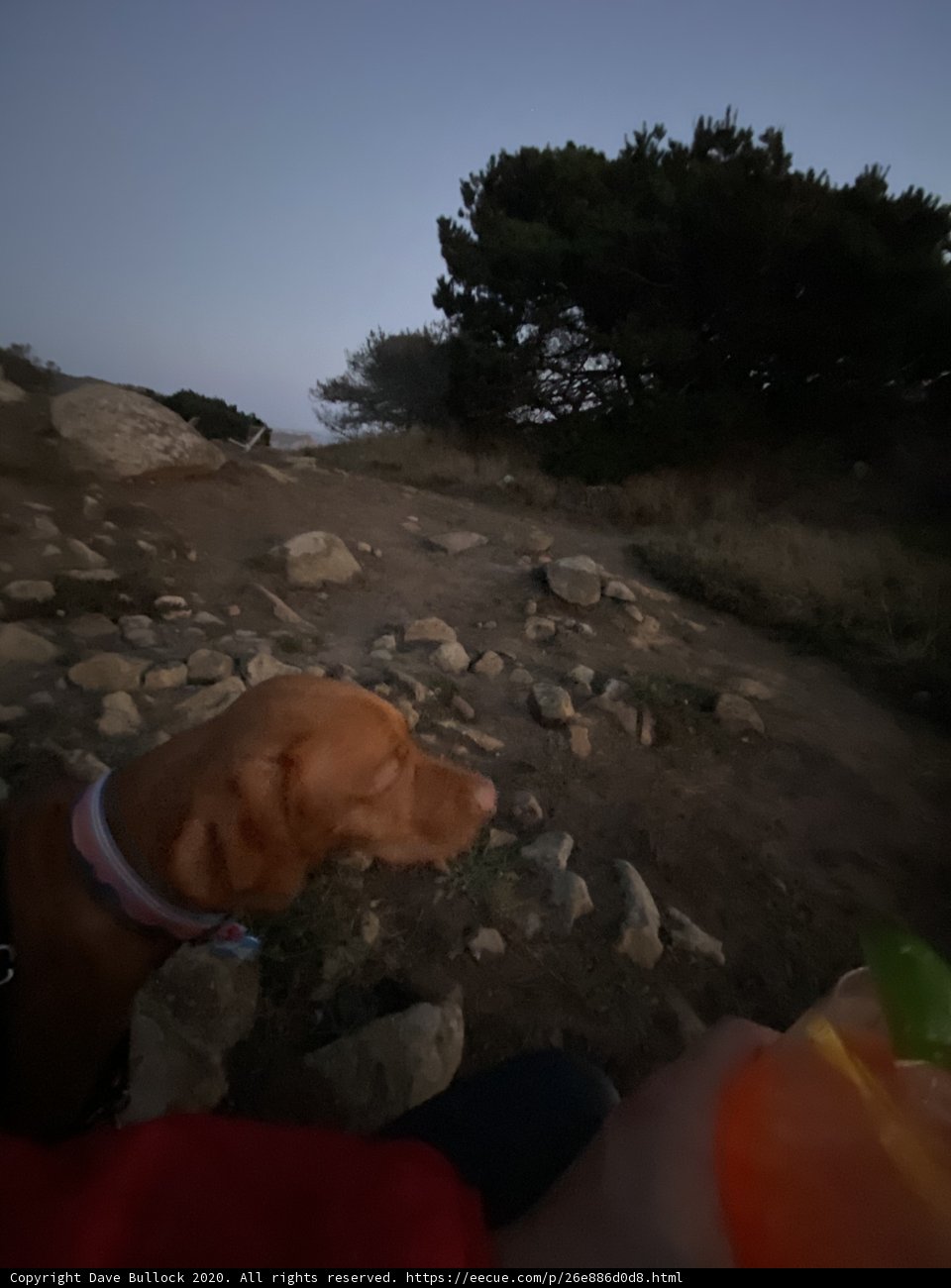 Rocky Adventure with My Four-Legged Friend