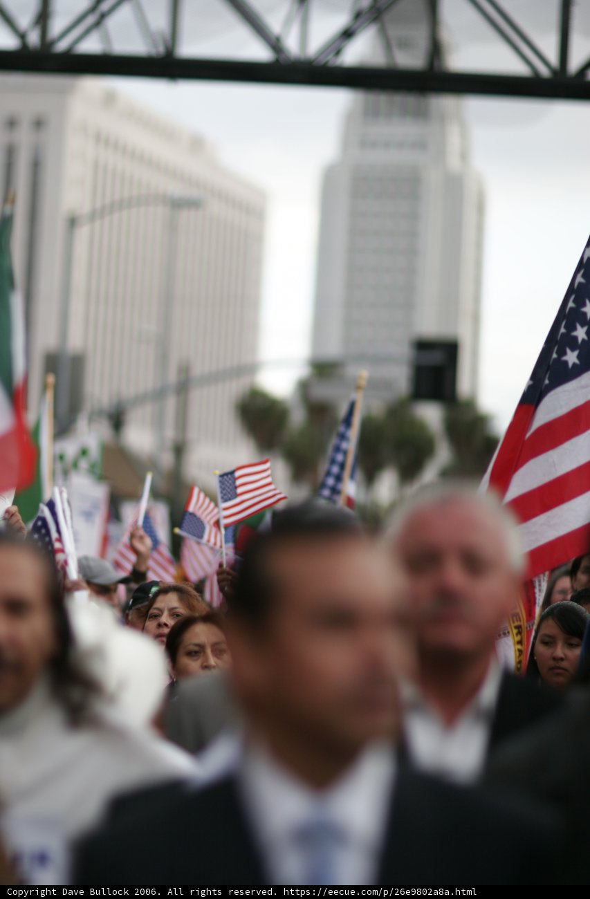 Patriotic Crowd