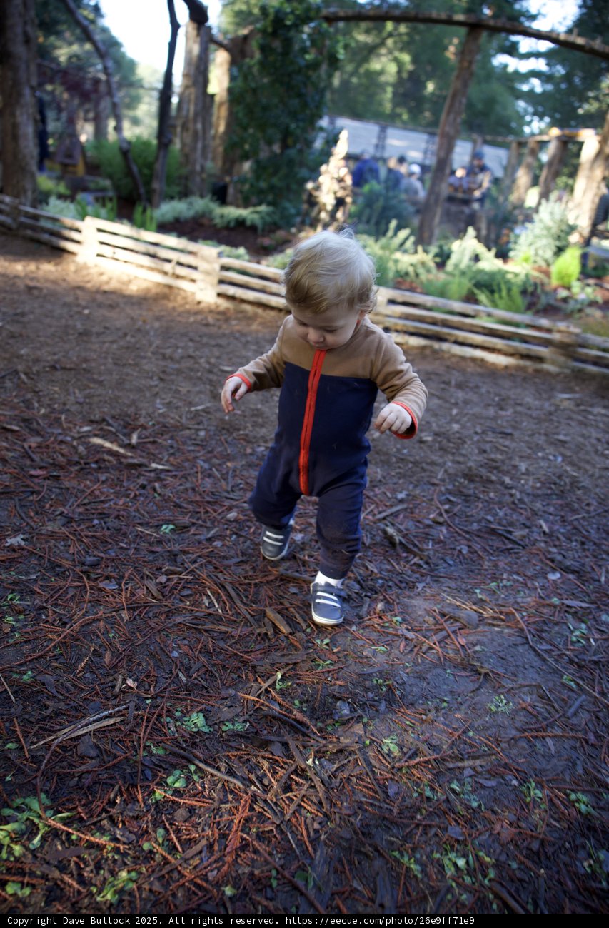 A Toddler's Adventure at Thistlewyck