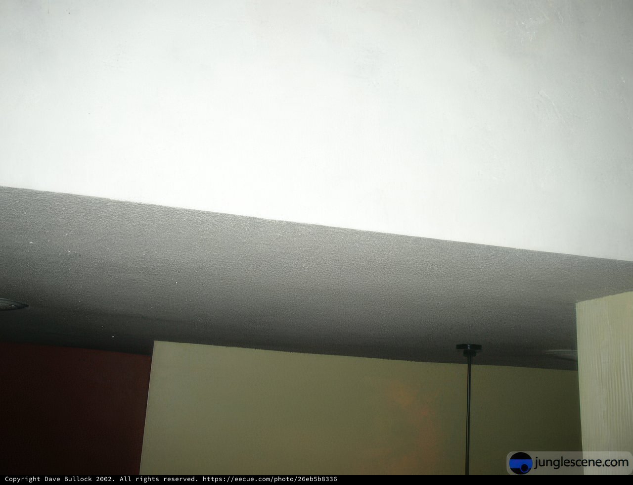 Illuminated Ceiling
