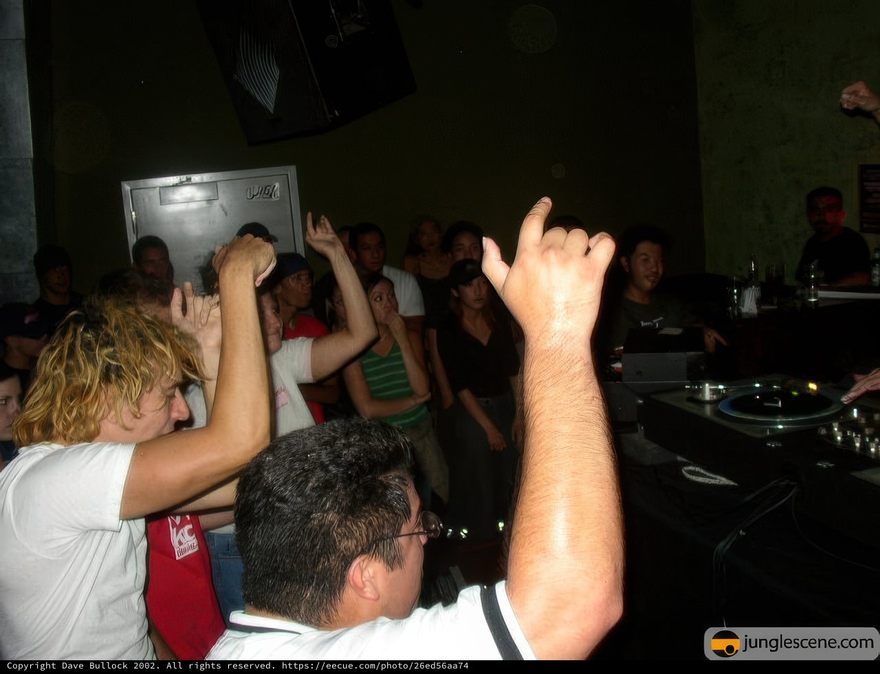 Partygoers Get Into the Groove