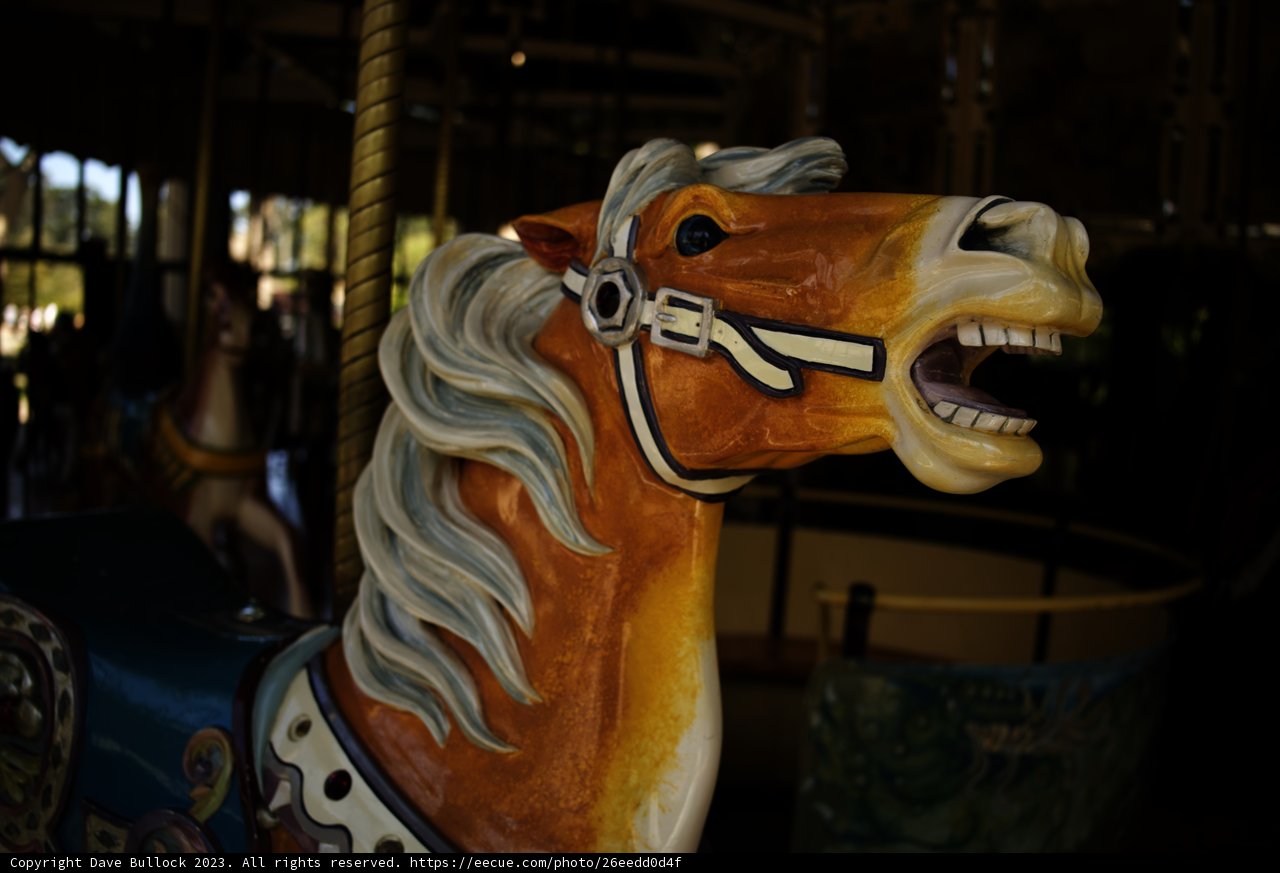 Carousel Magic: An Afternoon at Golden Gate Park 2023