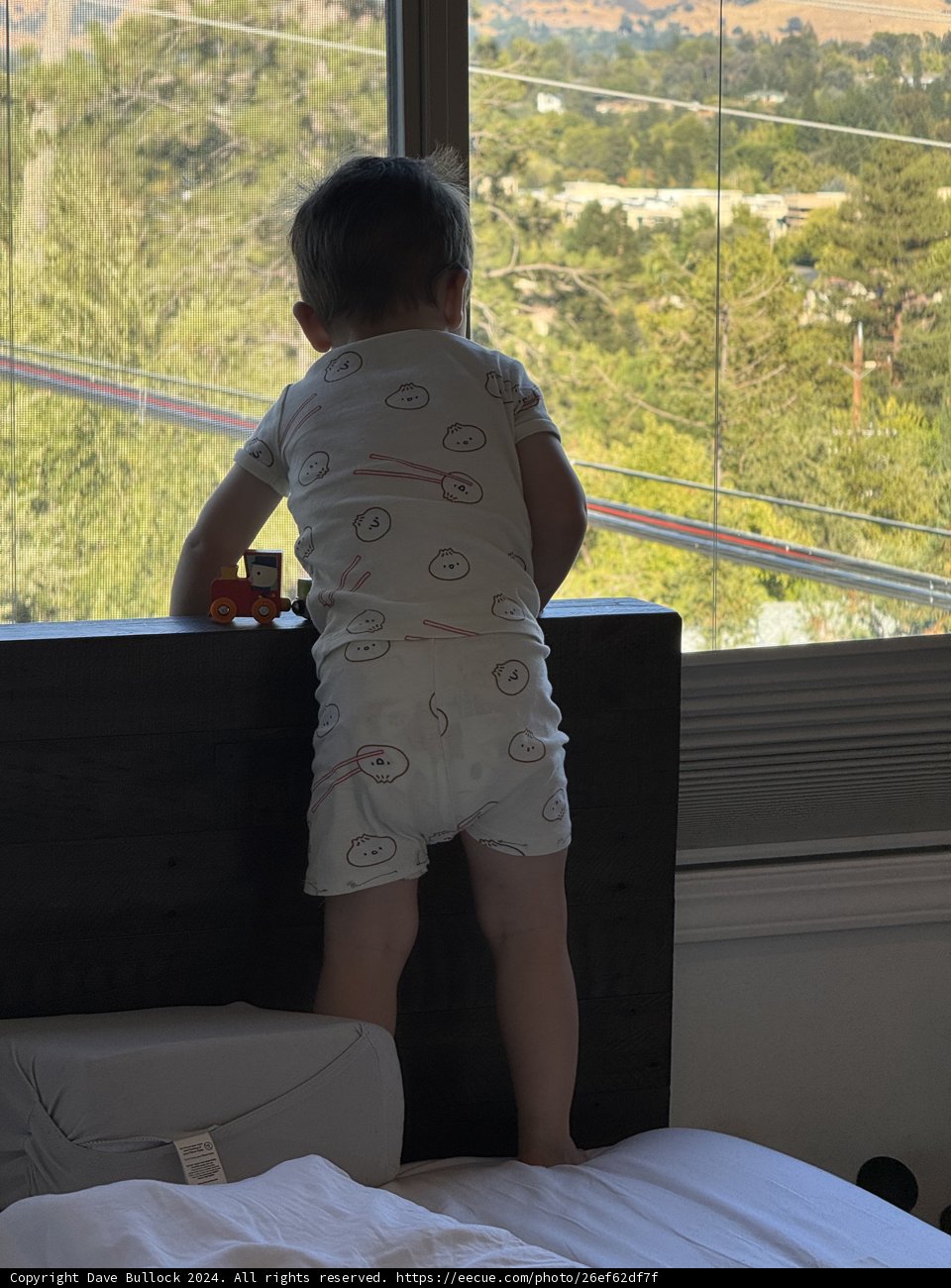 Curious Little Explorer