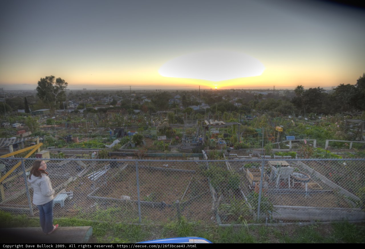 Sunset Serenity in the Community Garden